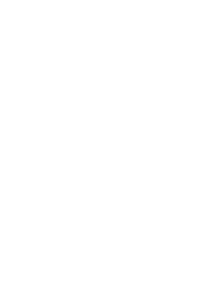 Cattle Classes