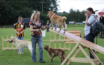 Our Dogs at the Show