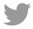 twitter-link