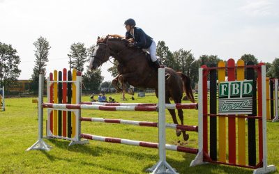 Show Jumping Entries