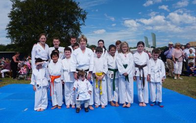 Piltown Show Karate Demonstration 2016