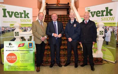 All Ireland Irish Angus Bull Calf Championship