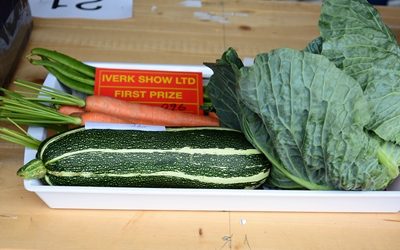 Fruit and Vegetables
