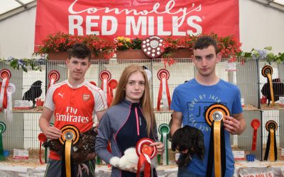 Red Mills Poultry Marquee
