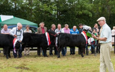 Massive Prize Fund for Cattle Classes