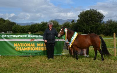 Two More Firsts in Horse Classes