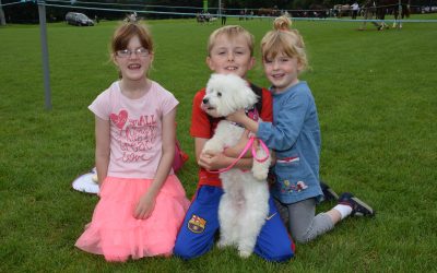Dogs at the Show
