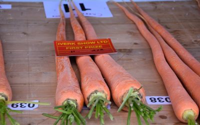 From the Garden to the Iverk Show