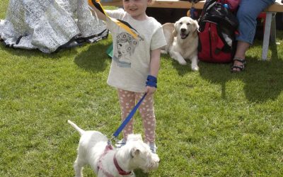 The Iverk Show Dog Show