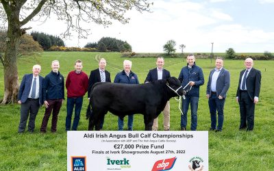 Aldi-ABP-Irish Angus All Ireland Championships 2022