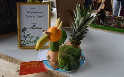Iverk Show Flower Arranging