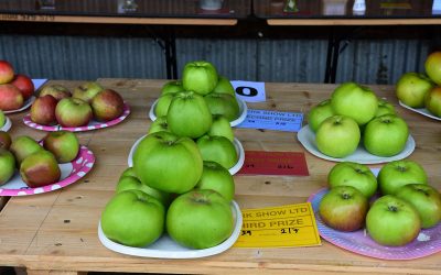 Iverk Fruit Classes