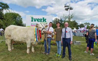 Cattle Section of the 2022 Iverk Show
