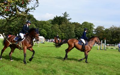 Horses and ponies at Iverk Show