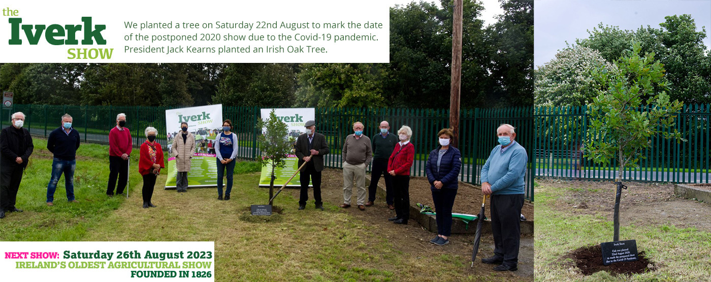 TREE-PLANTING02