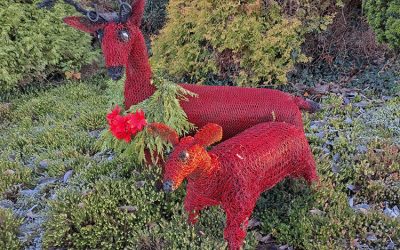 Happy Christmas from all at Iverk Show